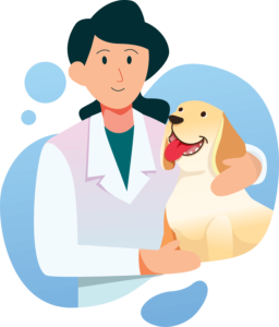 clinica veterinaria